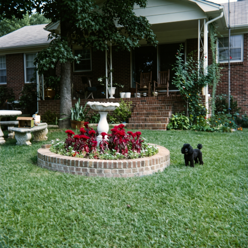 Back porch on Marion Street. The dog is the family poodle, Angel.
